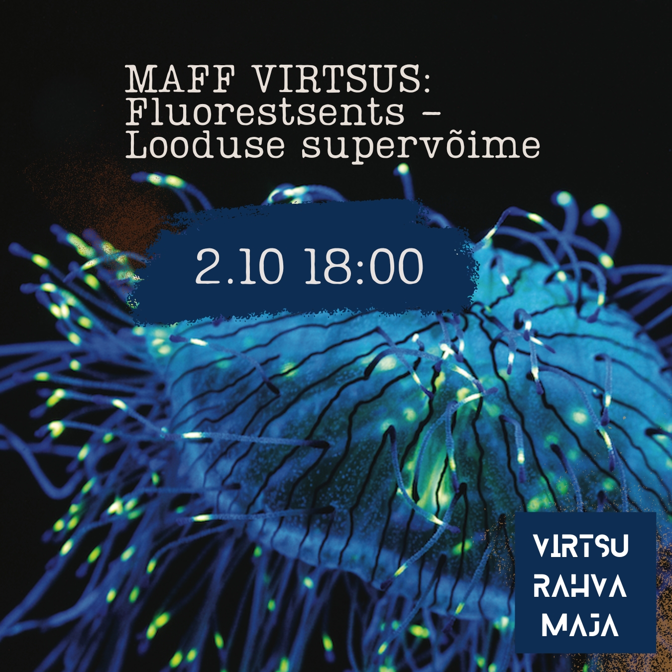 Visit Virtsu Majutus Virtsus, Glamping  Virtsus, Salajane Rannamaja, Maja Virtsus, Korter Virtsus, Luksuslik Kuul Stay, Suvila Virtsus, Paadirent Virtsust, Kajaki rent Virtsus, Linnuvaatlus | Peeter Vissakuga, Polli talu | loominguline keskus, Virtsu taaskasutuskeskus Uut ja Vana, Virtsu mõisatall, Virtsu muuseum Virtsu, Eesti