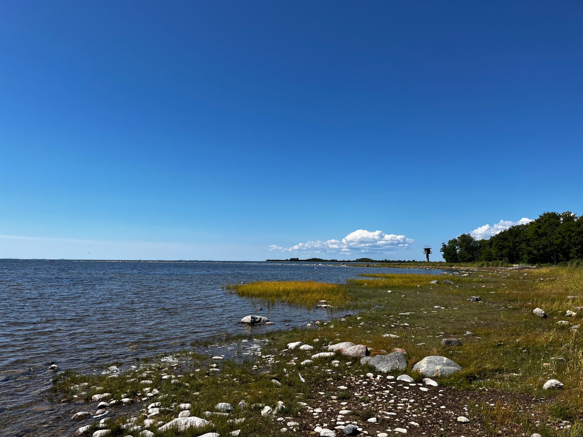 Linnuvaatlus | Peeter Vissakuga. Virtsu, Eesti. Visit Virtsu