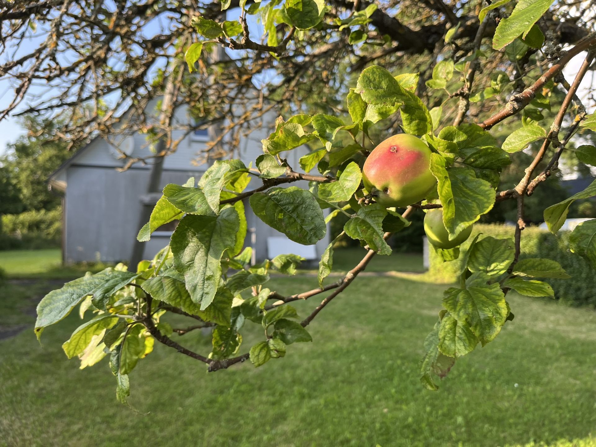 Maja Virtsus Visit Virtsu